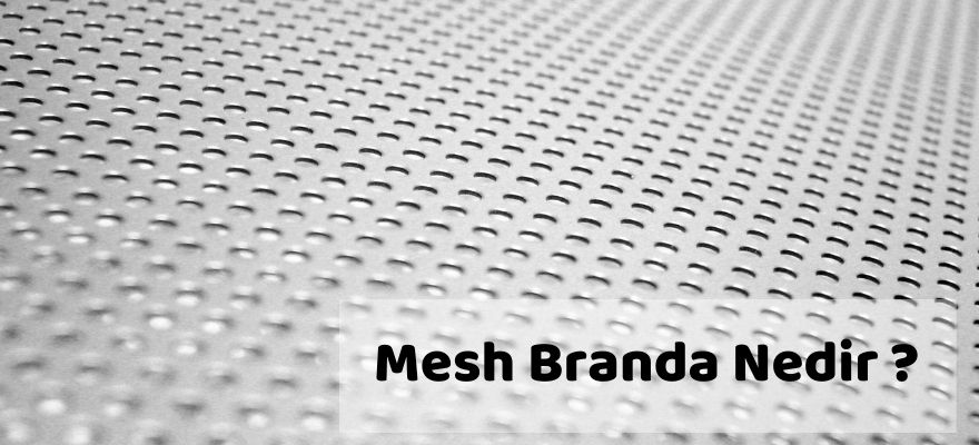 MESH BRANDA nedir?